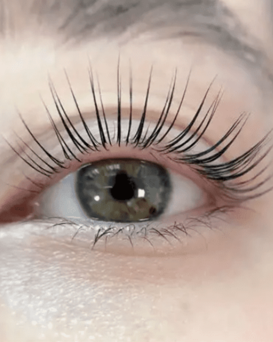 Korean Lash Lift and Tint Is Now at Sunshine Coast Cosmetic Clinic